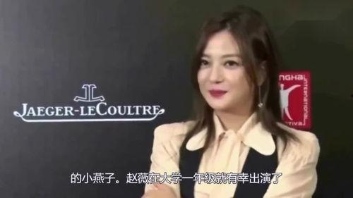 赵薇娱乐圈八卦最新爆料,揭秘明星背后的惊人真相  第2张